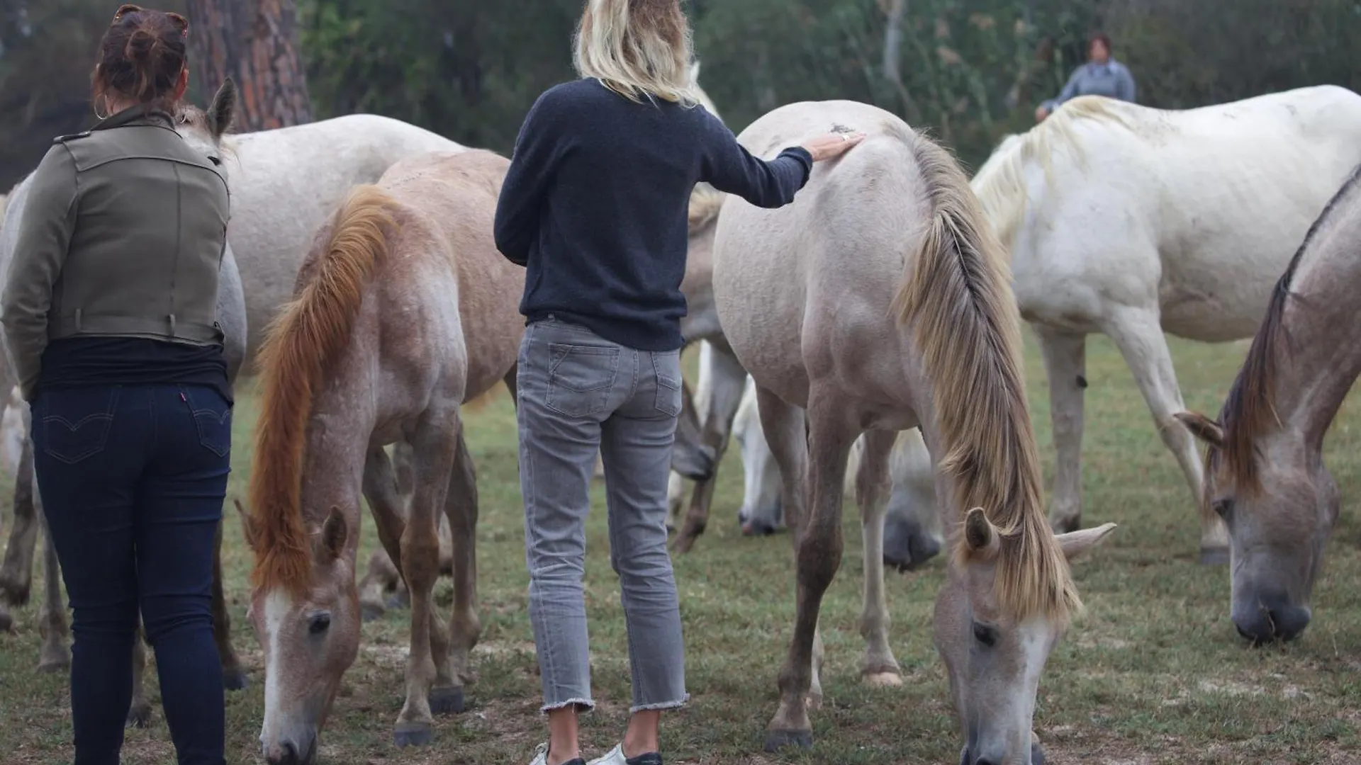 Le Grand Sauvage - Domaine En Camargue Hotel Saintes-Maries-de-la-Mer