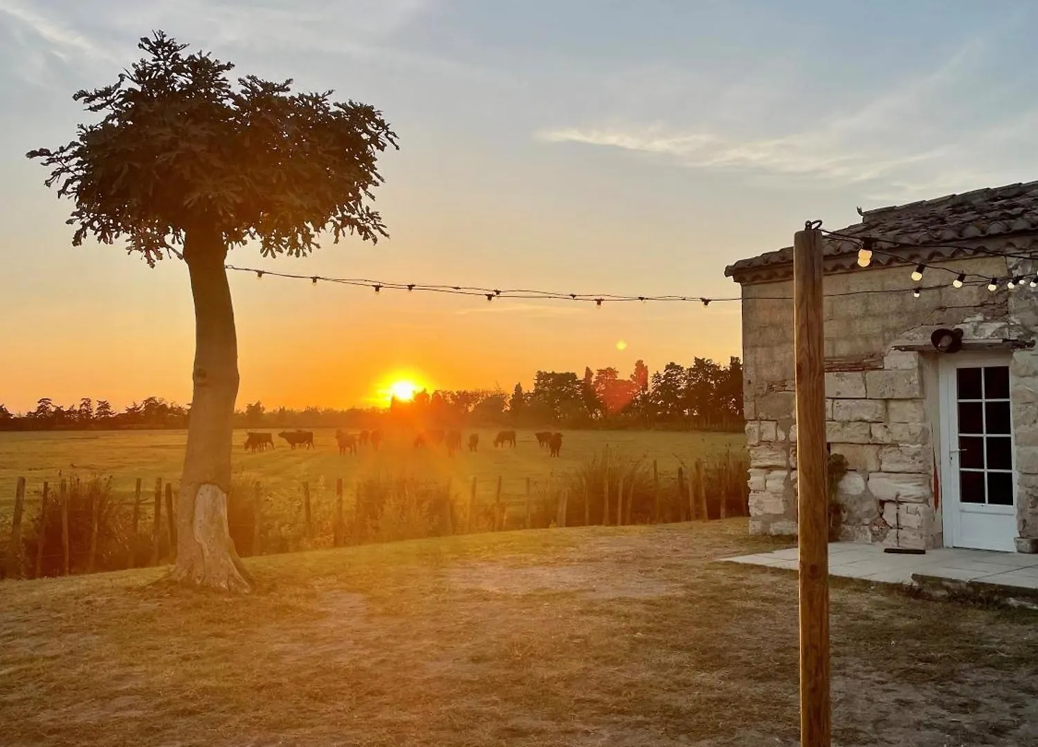 Hotel Le Grand Sauvage - Domaine En Camargue à Les Les Saintes-Maries-de-la-Mer